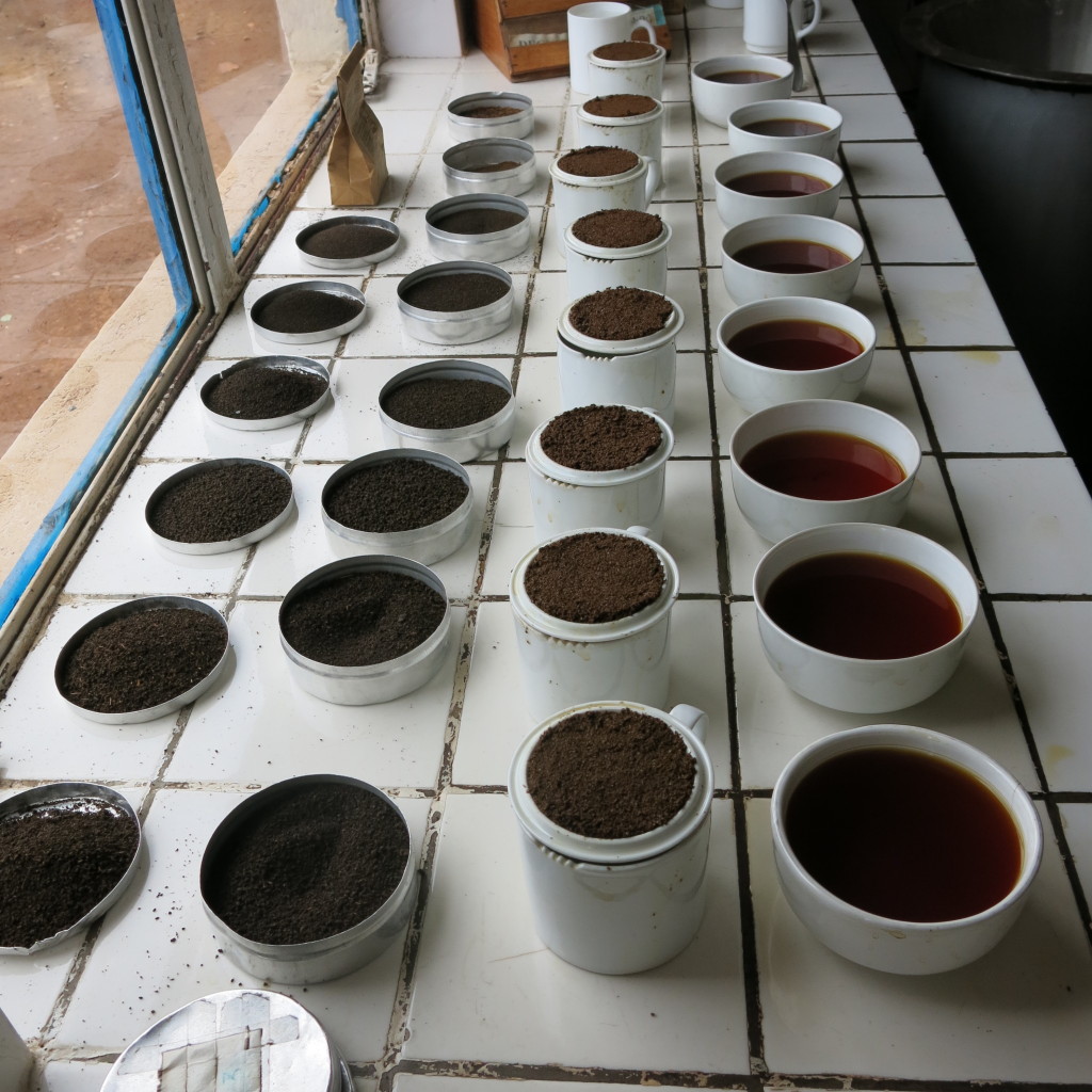 Rwanda tea testing