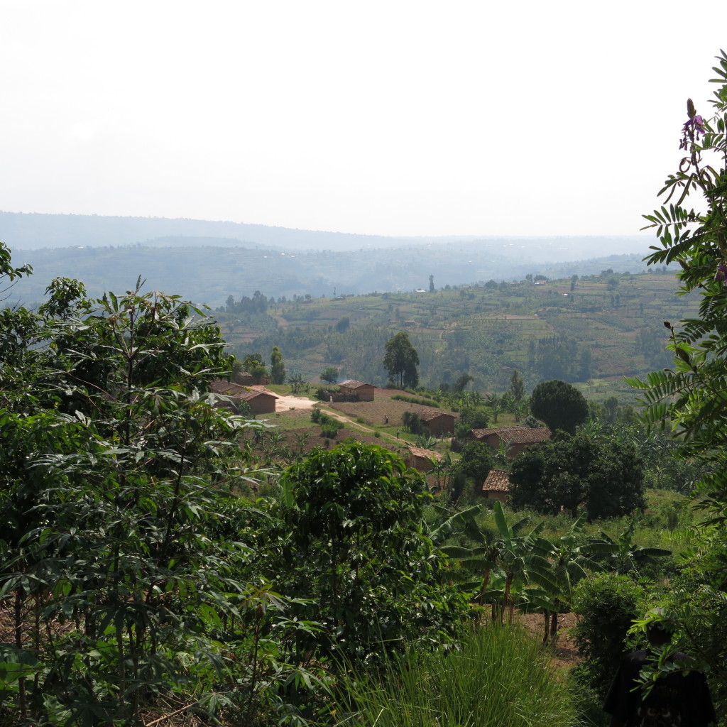 Hills Rwanda