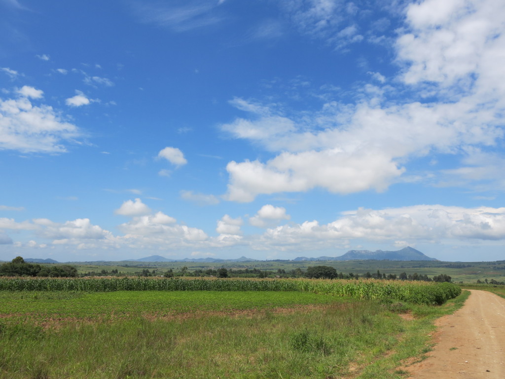 Malawi Landscape