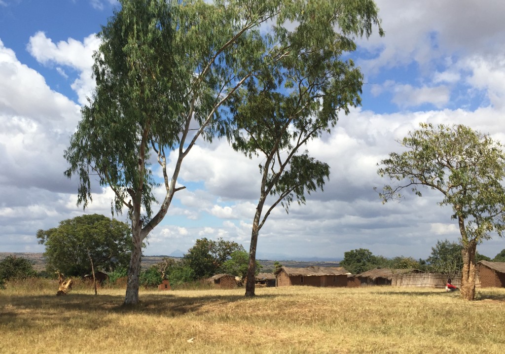 Malawi house in field